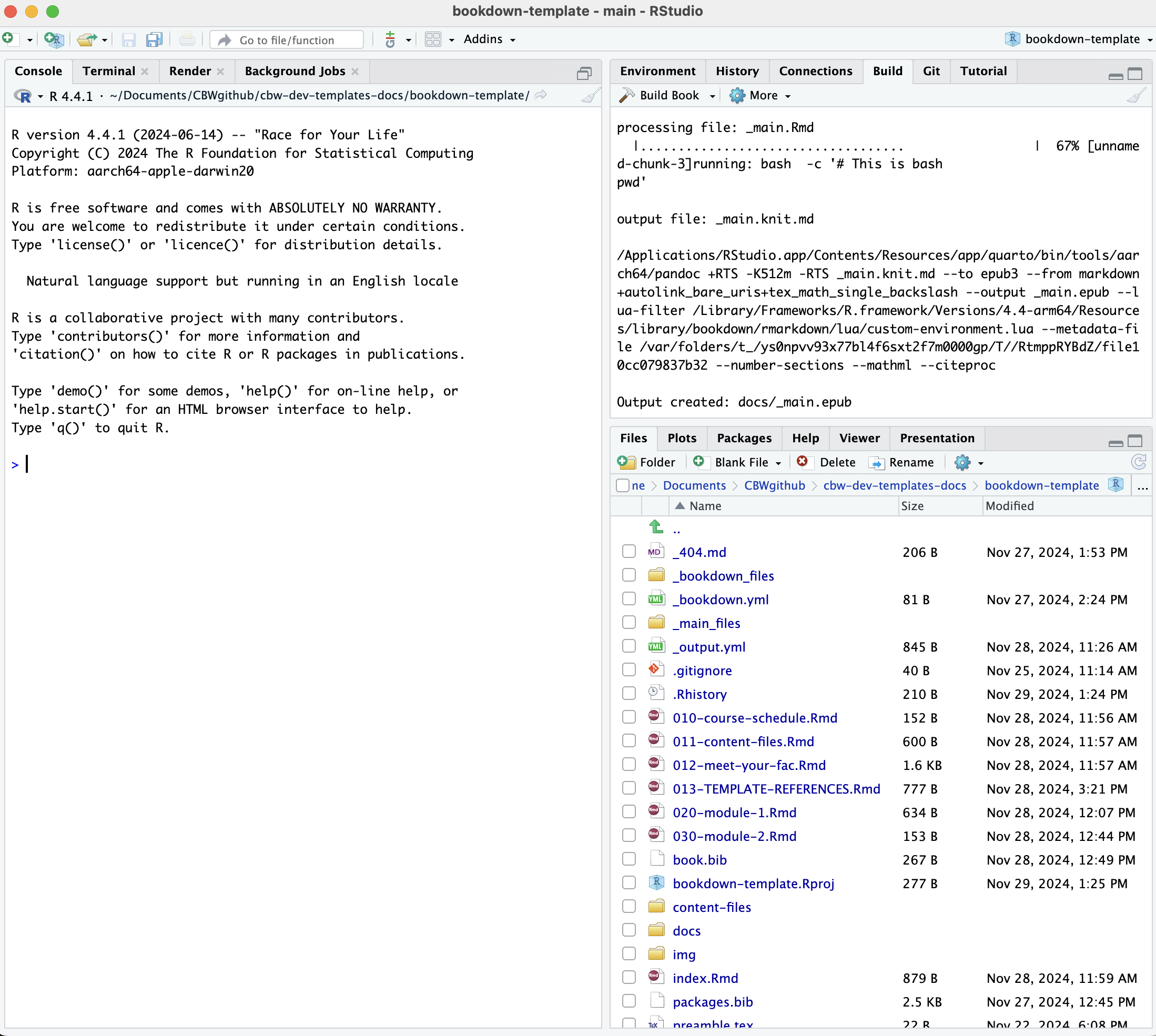 newly opened RStudio window
