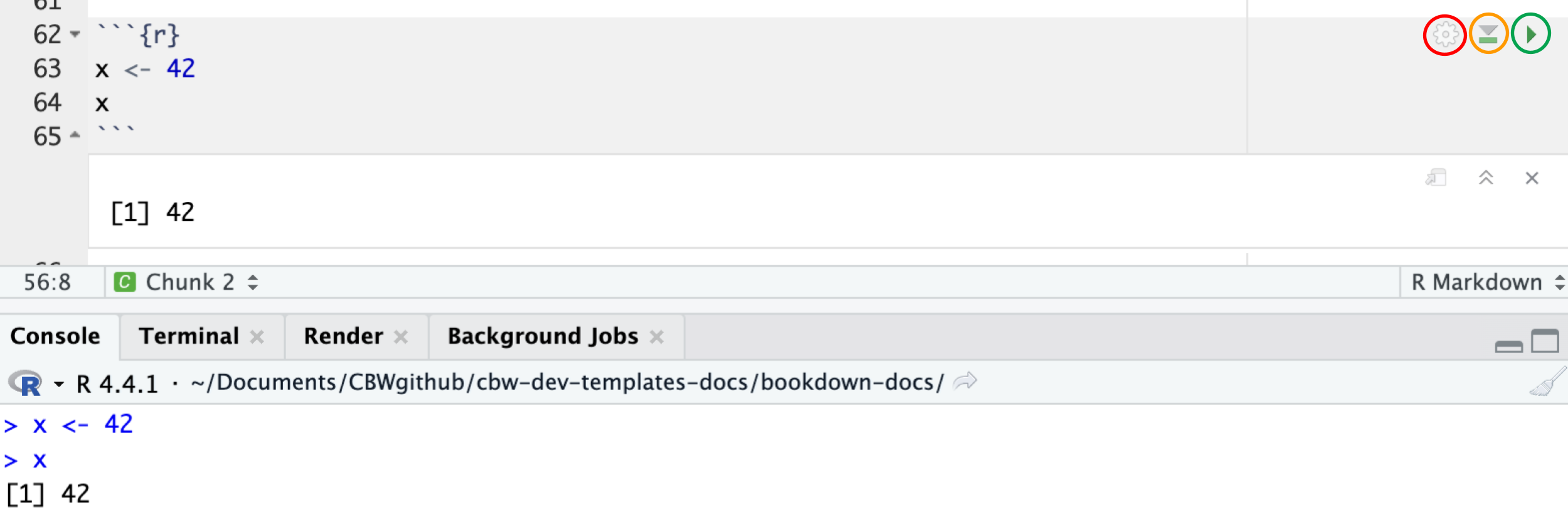 Picture of a R code chunk in RStudio